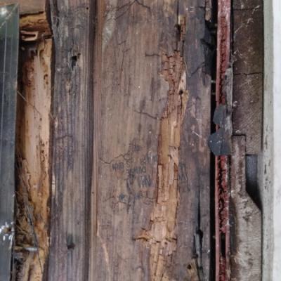 San Anselmo Dry Rot Repair - Dry Rot Post And Studs