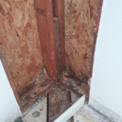 San Rafael Dry Rot Deck Repairs Deck Beam Removal Perp Closeup