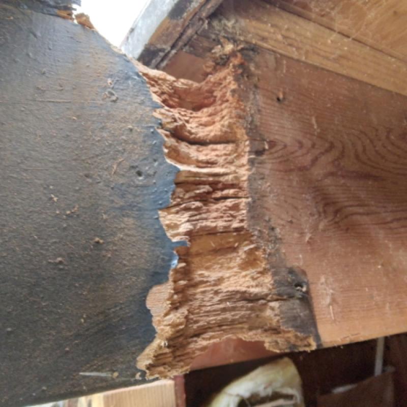 San Anselmo Dry Rot Repair - Dry Rot Deck Joists