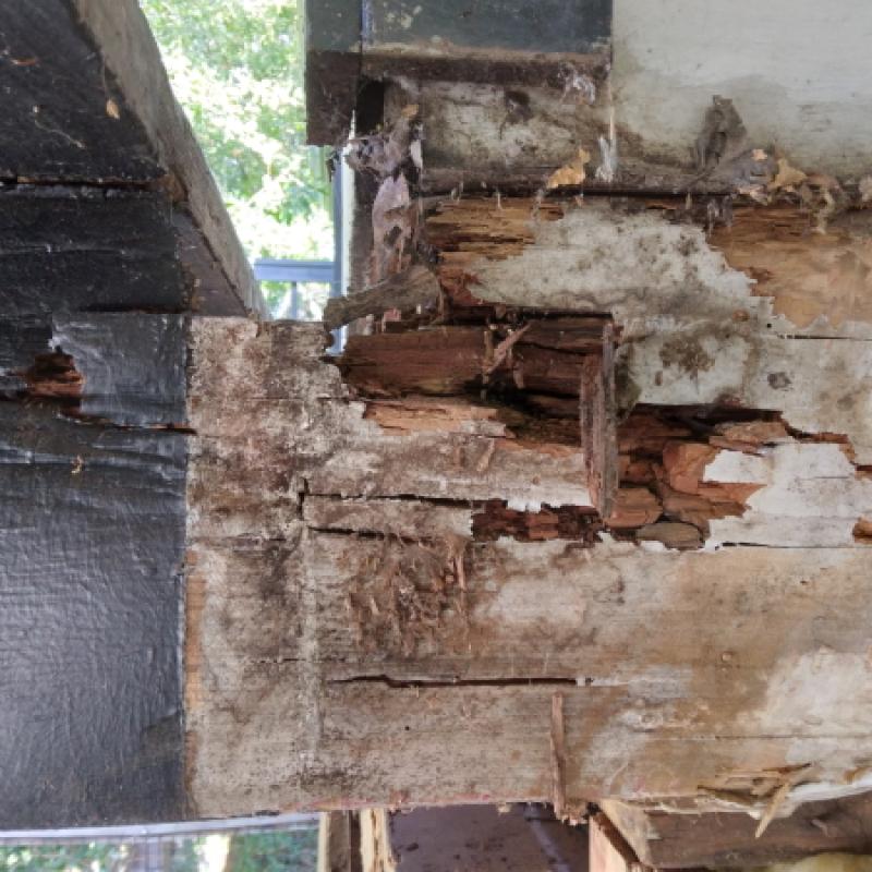 San Anselmo Dry Rot Repair - Dry Rot Rim Joist