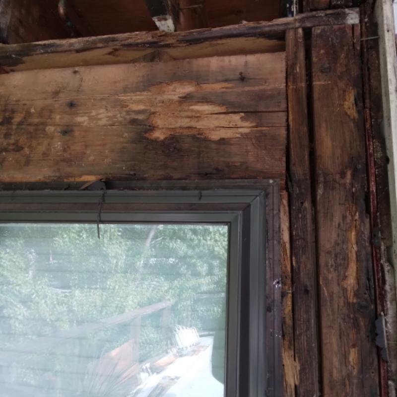 San Anselmo Dry Rot Repair - Header Demo