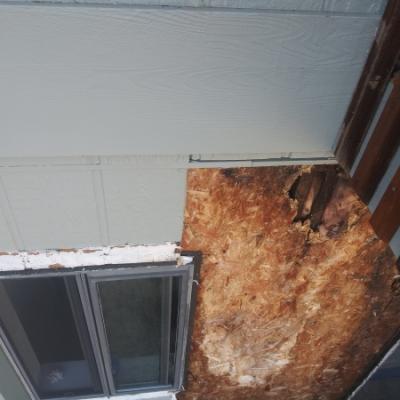 San Rafael Dry Rot Deck Repairs Damaged Siding And Sheathing